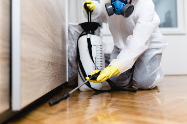 Best Pest Control for Businesses  in Dora, AL