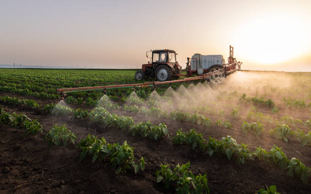 Best Best Pest Control Companies  in Dora, AL