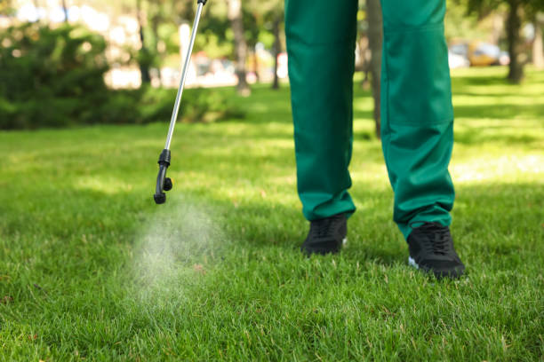Best Mosquito Control Services  in Dora, AL