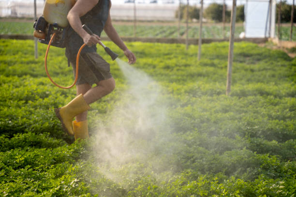 Pest Control Cost in Dora, AL