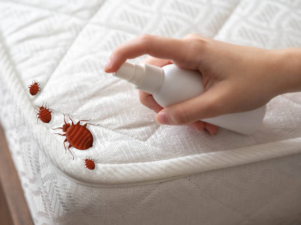 Best Best Pest Control Companies  in Dora, AL