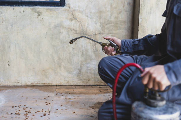 Best Commercial Pest Control Services  in Dora, AL